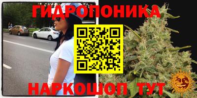 MDMA Дубна