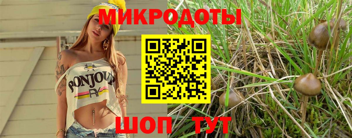Галлюциногенные грибы ЛСД  где продают   Псилоцибиновые грибы Psilocybe  Лосино-Петровский  Вход с VPN 